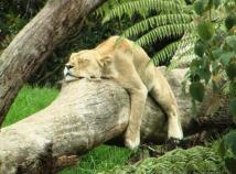 Mmm, my kind of layout.